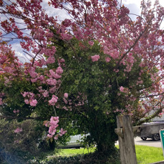 anthony hamilton remix