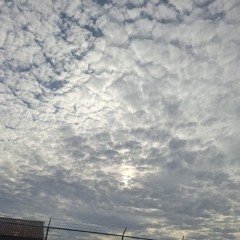 Coconut dancer vs Nimekuzoea djwilliams remix