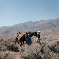 workhorse - violence (home demo) 04/08/2019