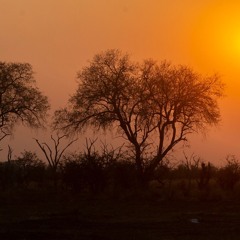 Liloue on Africa
