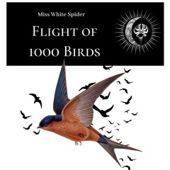 Flight of one thousand birds-  Dean Warner (Miss White Spider Feat)