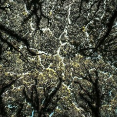 Dolla Punch Feat. Makave7i - Breathe