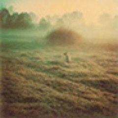 MORNING SUN AMBIENT (ANALOG RECORDING) THEDEEPR 2025