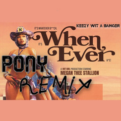 Megan Thee Stallion - Whenever (Pony Remix)