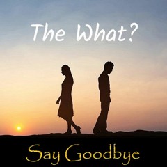Say Goodbye - The What