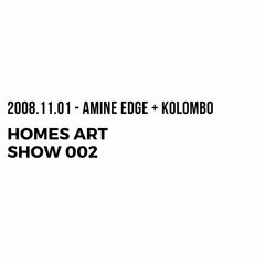 2008.11.01 - Homes Art Show 002 - Amine Edge + Kolombo