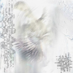 see through ft parkervs