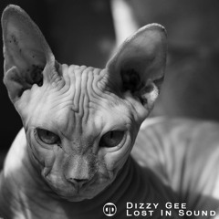 Dizzy Gee - Lost In Sound | Live on Different Drumz | 19.02.2022