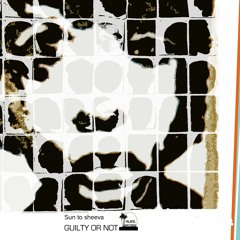 Sun to sheeva @ Koekoeksrock Achel 2008