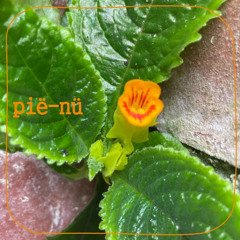 expecting sweet when its sour [cool dancers 08-08-2025]