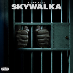 Skywalka