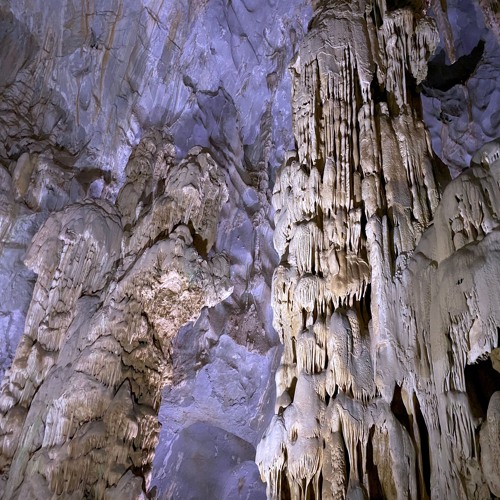 Subterranean Vibes