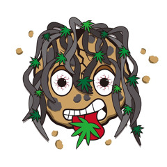 Cookie Plant-Bando