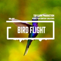 (No Copyright Music) - Bird Flight (Pop, Energetic, Breakbeat Music by Top Flow Production)