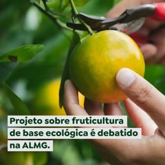 Projeto sobre fruticultura de base ecológica é debatido na ALMG