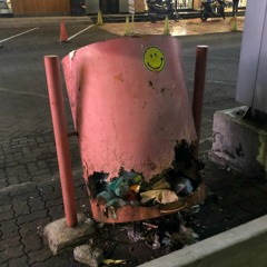 Souvenir - Boygenius