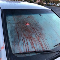 BULLET HOLES
