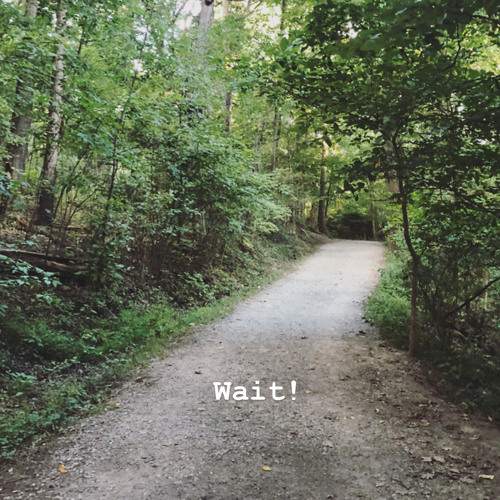 Wait - Saurabh Kulkarni