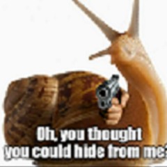 042 The Snail