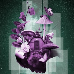 Lampert @ Paranature Festival 2023 | Forest Stage
