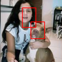 (DOWNLOAD VIDEO) portal zacarias pitbull mario news