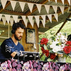Psychedelic Bush Disco 2024