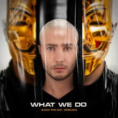 SAM PIKAR, ORGAN - What We Do