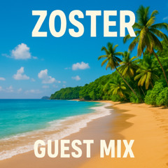 ZOSTER --> NO TREBLE COLLECTIVE GUEST MIX [006]