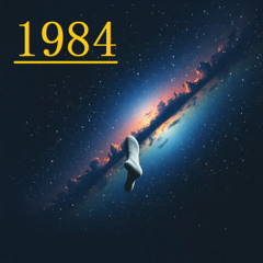 1984 right  sock