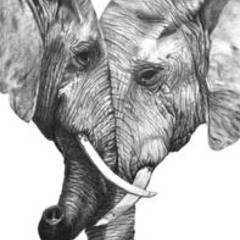 Elephant Tusk [Prod. ishimatsu]