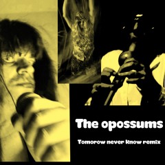 Tomorow Never Knows remix - The Opossums