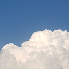 차지연 - 그대 먼 곳에