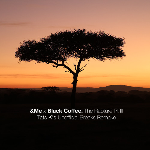 Stream FREE DOWNLOAD: &Me x Black Coffee - The Rapture Pt