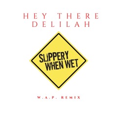 Hey There Delilah W.A.P. Remix