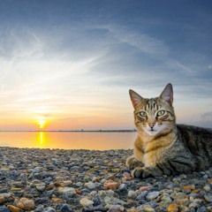 green flash