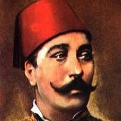 بادر الفرصة واحذر فوتها - البارودي