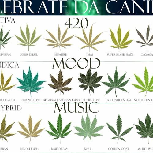 Celebrate The Canibus