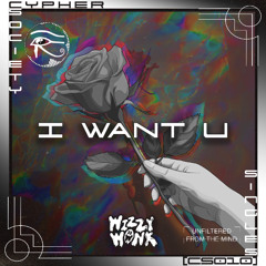 Wizzy Wonk - I Want U [CS010]