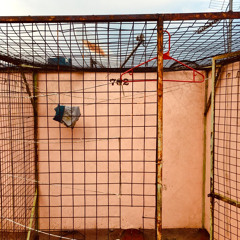 Cage 702