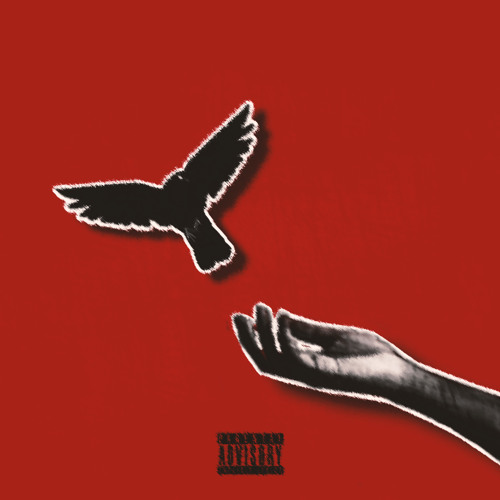 DoveShit (Prod.Kaizzr)