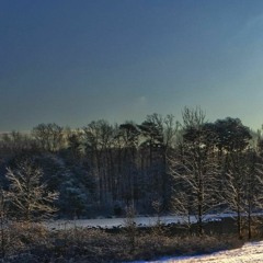 Snowpath