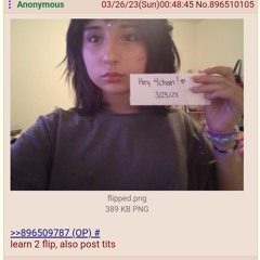 beta orbiter xo_willow cover