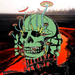 RADW X flower that will never bloom x river redlake flip v1