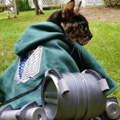 Eren’s speech X Dream