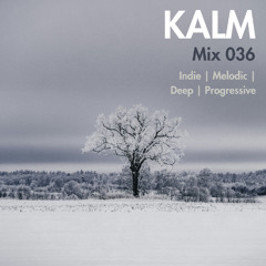 Mix 036 (Indie, Melodic, Deep Progressive)