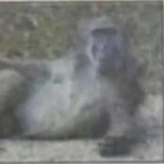 Unless It’s Saturday (instrumental)