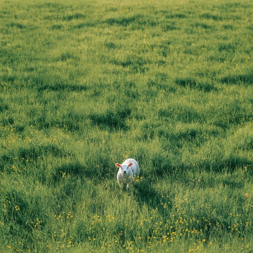 Stream stooper by wishmaster Listen online for free on SoundCloud