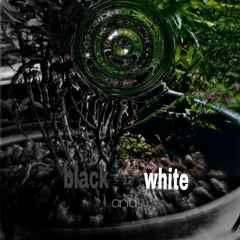 San Holo-black and white (3HAIRV remix)