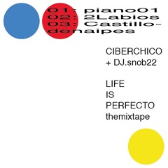 CIBERCHICO + DJ.snob22 - LIFEISPERFECTO THE MIXTAPE