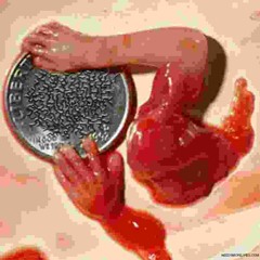 Bacterial Lawn - Fatal Prenatal - Feat Syncretik